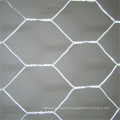 Woven Hexagaonal Iron Wire Mesh / Chicken Netting Mesh